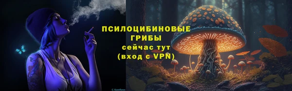 ПСИЛОЦИБИНОВЫЕ ГРИБЫ Алексин